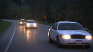 Road Quest kép