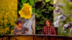 QI 14. évad Ep.16 16. epizód