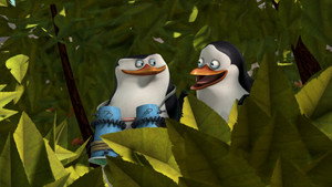 A Madagaszkár pingvinjei 2. évad Ep.57 Namegaztáni emberünk