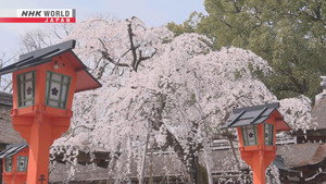 Core Kyoto 14. évad Ep.6 6. epizód
