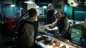 CSI: A helyszínelők 13. évad Ep.10 Rázós bussiness-osztály