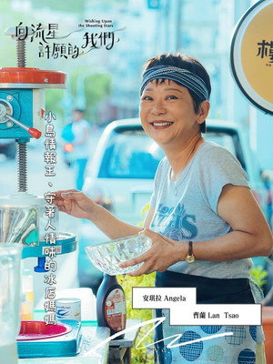 向流星許願的我們 poszter