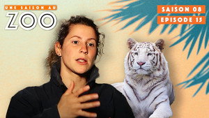 Une saison au zoo 8. évad Ep.15 15. epizód