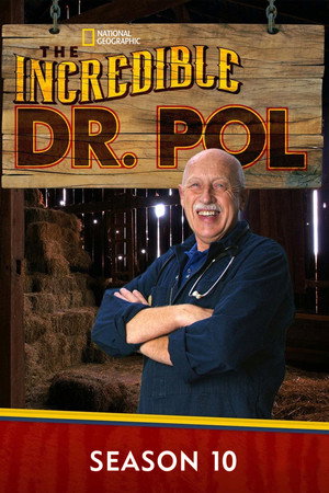 Dr. Pol állatklinikája 10. évad (2017-01-07) poszter
