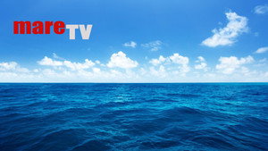 mare TV kép