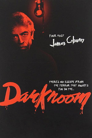 Darkroom poszter