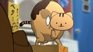 どーにゃつ 1. évad Ep.11 11. epizód
