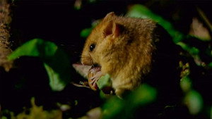 Countryfile 33. évad Ep.28 28. epizód