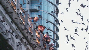 Mutual of Omaha's Wild Kingdom Protecting the Wild 1. évad Ep.15 15. epizód