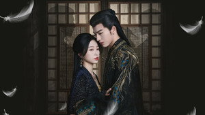 云之羽 kép