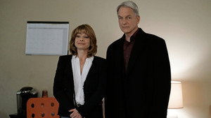 NCIS: Tengerészeti helyszínelők 13. évad Ep.18 Távcső