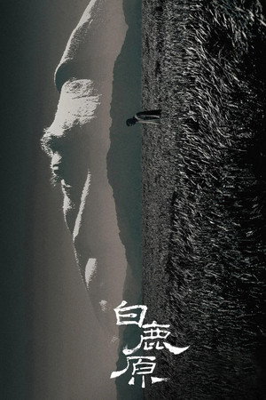 白鹿原 1. évad (2017-04-16) poszter