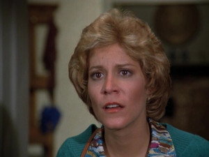 Eight Is Enough 4. évad Ep.14 14. epizód