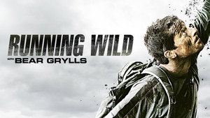 Bear Grylls: Sztárok a vadonban kép