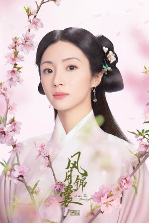 锦囊妙录 poszter
