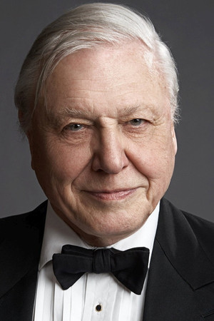David Attenborough profil kép