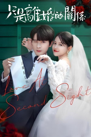 只是离婚的关系 poszter