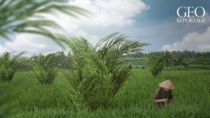 ARTE 360° Reportage kép