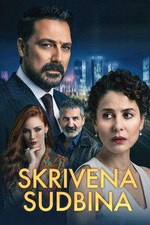 Can Borcu poszter