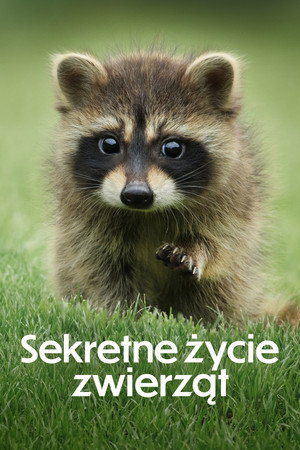 Az állatok titkos élete poszter