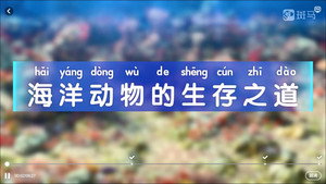 斑马百科 5. évad Ep.11 11. epizód