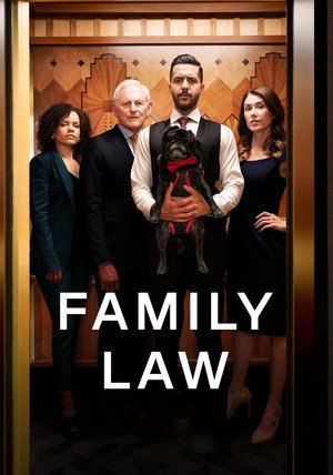 Family Law poszter