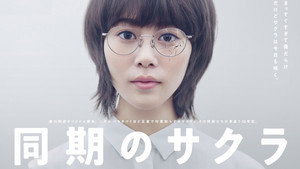 同期のサクラ kép