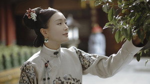 延禧攻略 kép