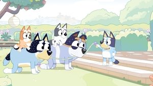 Bluey 1. évad Ep.9 Lovacska