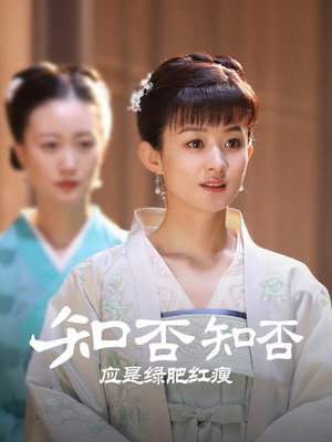 知否知否应是绿肥红瘦 poszter