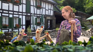 Ein Fall für die Erdmännchen 9. évad Ep.3 3. epizód