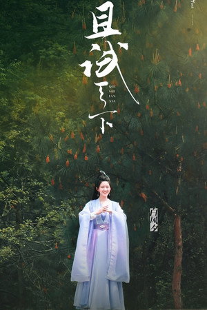 且试天下 poszter