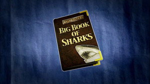 Shark Week 21. évad Ep.1 1. epizód