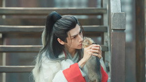 水龙吟 kép