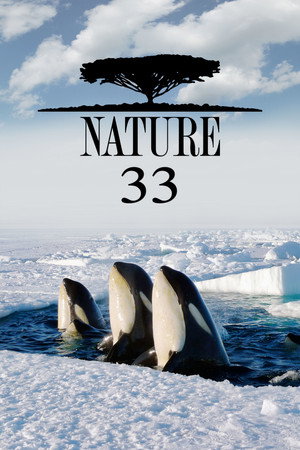 Nature 33. évad (2014-09-24) poszter