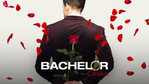 Bachelor kép