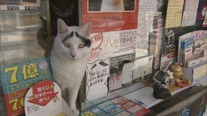 ドキュメント72時間 6. évad Ep.24 24. epizód