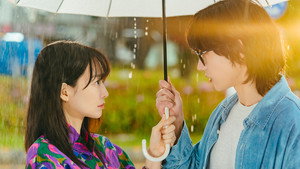 손해 보기 싫어서 kép