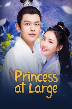 医妃难囚 poszter