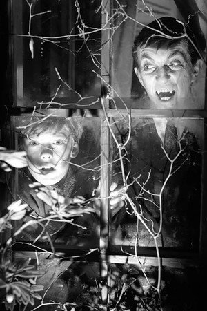 Dark Shadows poszter