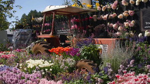 Gardening Australia 35. évad Ep.19 19. epizód
