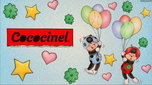 Cococinel kép