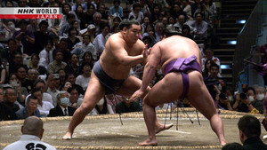 GRAND SUMO Highlights 29. évad Ep.8 8. epizód