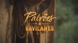 Pasión de gavilanes kép