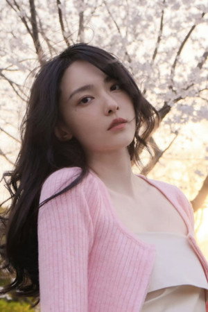 楊之楹 profil kép