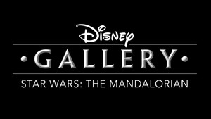 Disney Galéria/Star Wars: A mandalóri kép