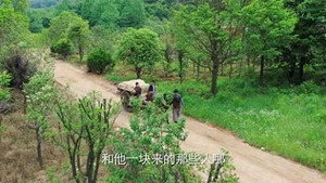 红蔷薇 1. évad Ep.22 22. epizód