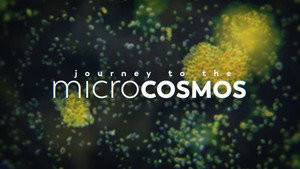 Journey to the Microcosmos kép