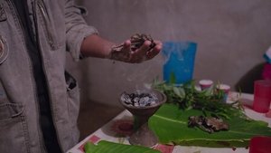 Hogyan irányítsd az elmédet Minisorozat Ep.2 2. fejezet: Pszilocibin