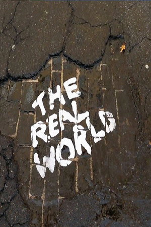 The Real World 28. évad (2013-03-27) poszter